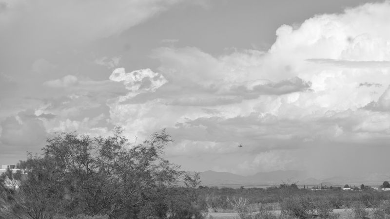 _K332275.JPG