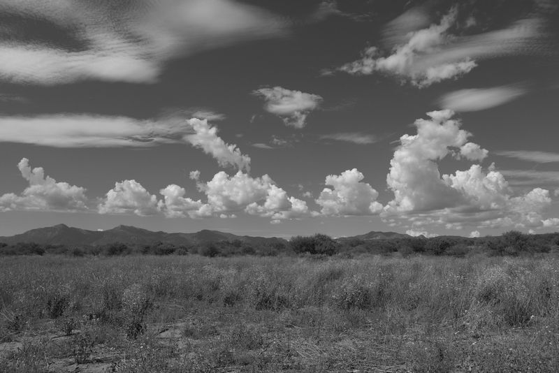 02_Std_HDR1.jpg