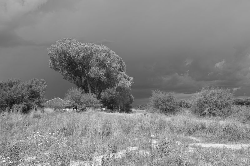 _K332479.JPG