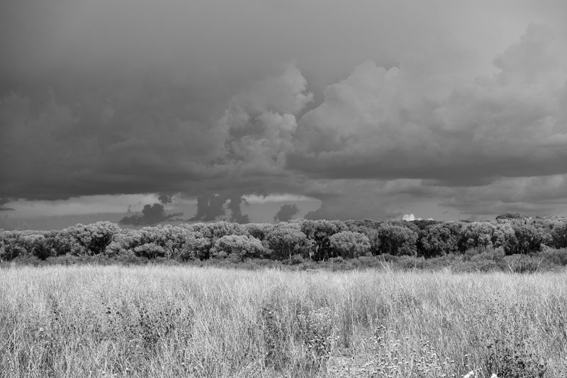_K332490.JPG