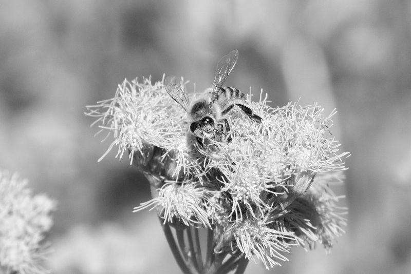 _K332512.JPG