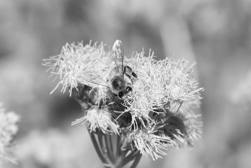 _K332513.JPG