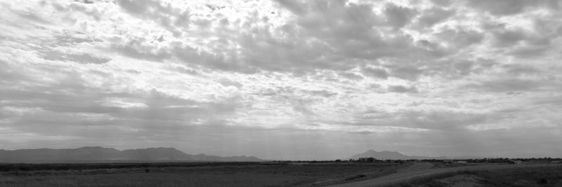 Arizona