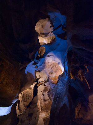 _DSC0752.jpg