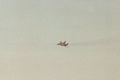 g13/31/450331/3/174072749.2c150ae4.JPEG