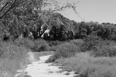 g13/31/450331/3/174932573.157d93f7.JPEG