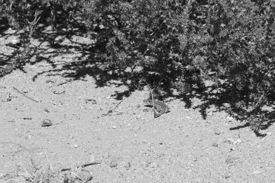 g13/31/450331/3/174932577.5dd14601.JPEG