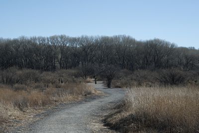g13/31/450331/3/175221826.4797cf28.JPEG