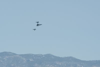 g13/31/450331/3/175278488.448d85f8.JPEG