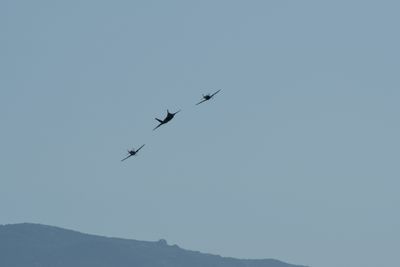 g13/31/450331/3/175278493.f8eaf4bd.JPEG