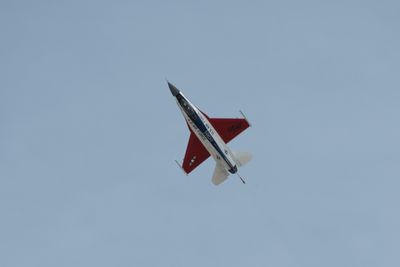 g13/31/450331/3/175278500.6036e02e.JPEG
