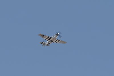 g13/31/450331/3/175279867.130a6d4a.JPEG