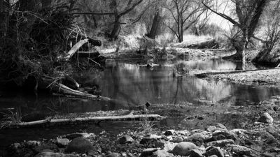 g13/31/450331/3/175348662.62d57602.JPEG
