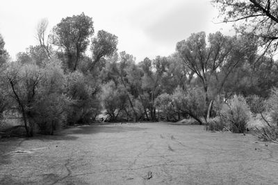 g13/31/450331/3/175447768.6e405fae.JPEG