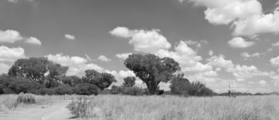 g13/31/450331/3/175501797.7806646c.JPEG