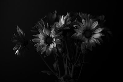 g13/31/450331/3/175503780.c5876a26.JPEG
