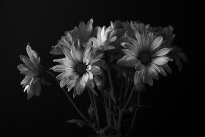 g13/31/450331/3/175503781.3ed76618.JPEG