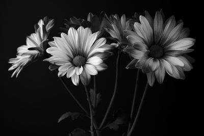 g13/31/450331/3/175508981.249b735f.JPEG