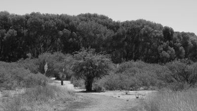 g13/31/450331/3/175519876.f0128853.JPEG