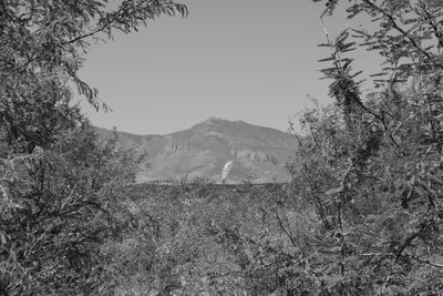 g13/31/450331/3/175528155.1e7a1655.JPEG