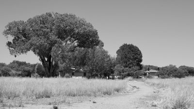 g13/31/450331/3/175528156.c189361e.JPEG