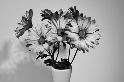 g13/31/450331/3/175530466.2bf75e24.JPEG