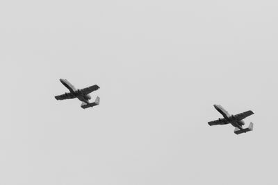 g13/31/450331/3/175791042.1f75c497.JPEG