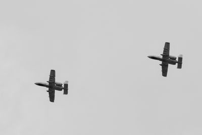 g13/31/450331/3/175791043.f47cea86.JPEG