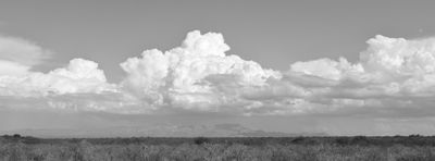 g13/31/450331/3/175818968.f2a7e904.JPEG