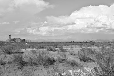 g13/31/450331/3/175818969.8a752e09.JPEG