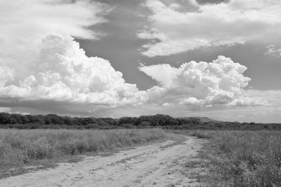 g13/31/450331/3/175833187.d38f6fd6.JPEG
