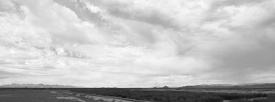 g13/31/450331/3/175896923.c74d1d31.JPEG