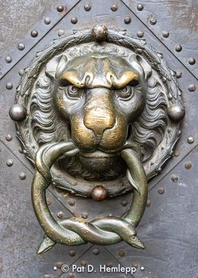 Door knocker