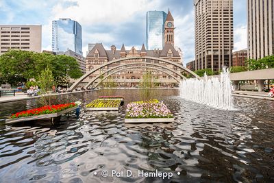 City Hall fountain