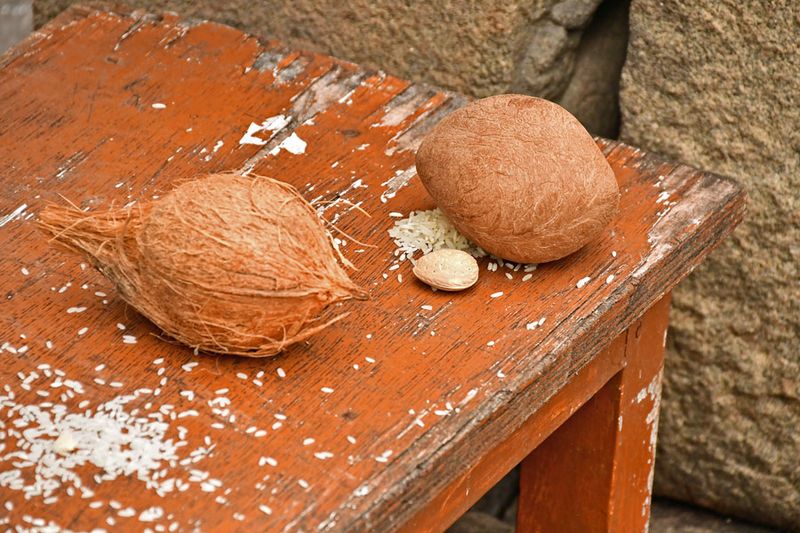 Offerings of rice, nuts, coconuts - India-2-1014