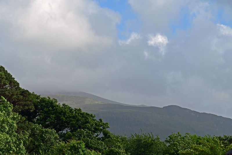 06-09 Landscape view from Muckross Farms 4572