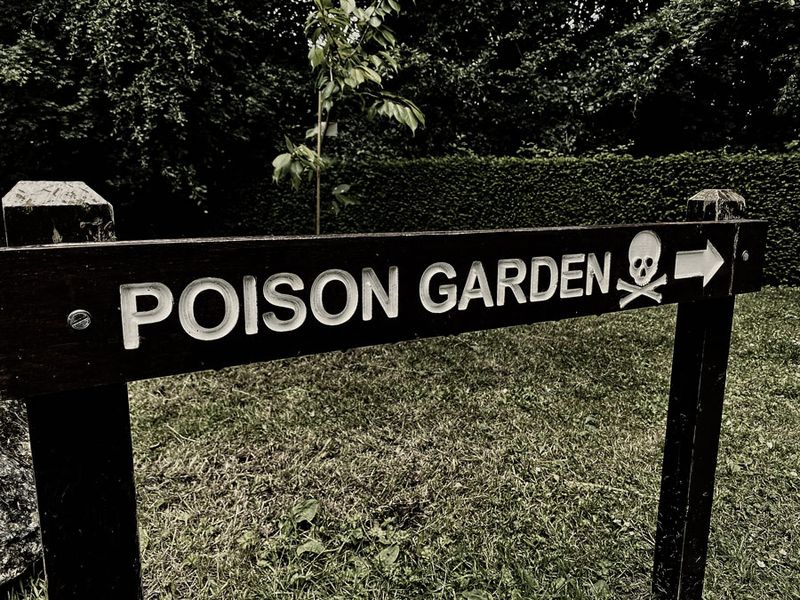 06-09 Blarney Castle - Poison Garden i0457grng