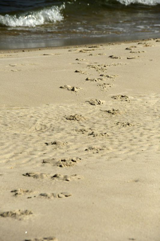 05-19 Ran through the surf 3952