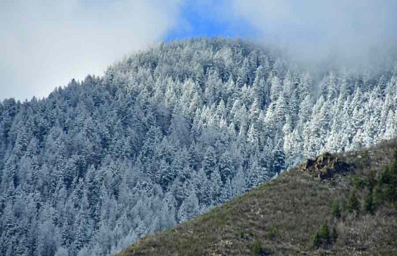 Utah19-1-9905