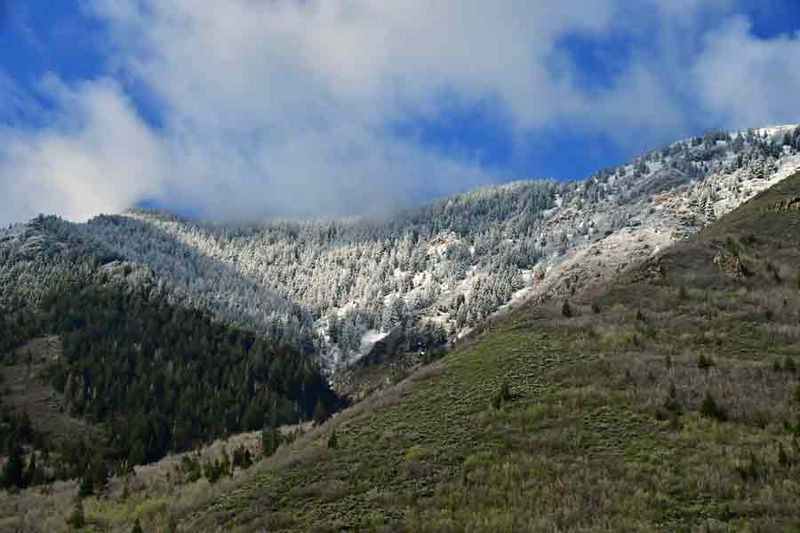 05 01 Utah19-1-9906