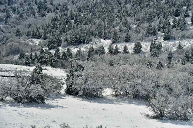 05 01 Utah19-1-9941