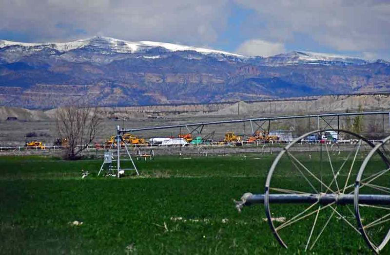 Utah19 Irrigated alfalfa 1-9991