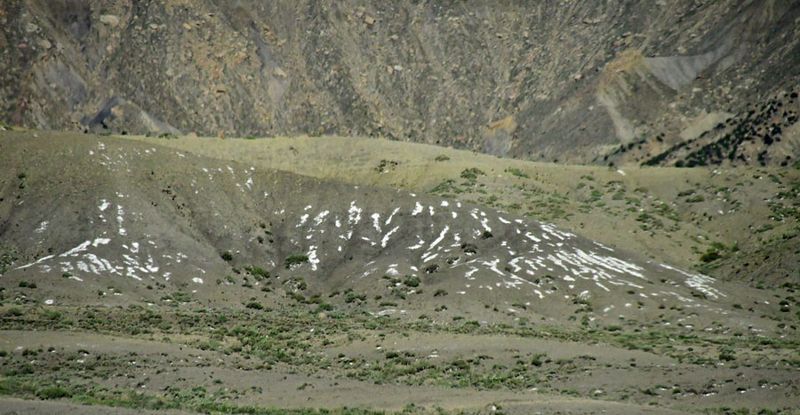 Gypsum - Utah19-2-0403