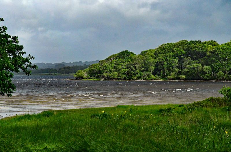 06-10 Muckross Lake 4662