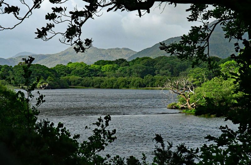 06-10 Muckross Lake 4670