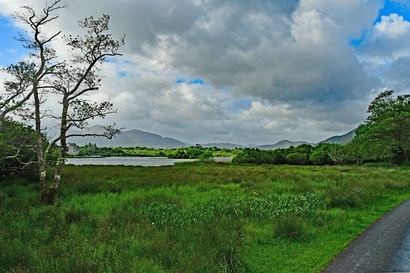 06-10 Muckross Lake 4694