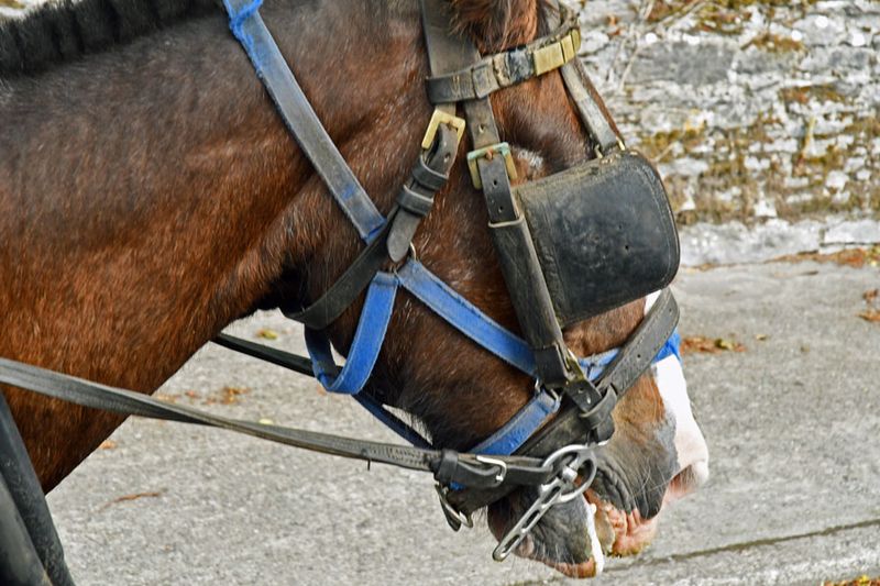 06-10 Blinders 4723