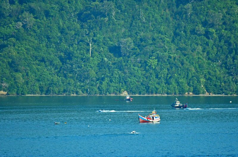 Boats of off Gaya Island 08-23-3513