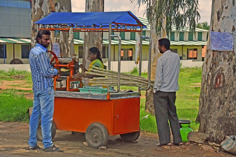 Selling fresh sugar cane juice - India-2-1455