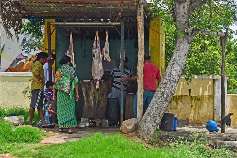 Local butcher - India-2-1476